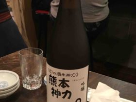 ginjou_kumamoto_shinriki