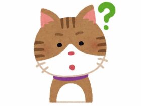 cat3_1_question