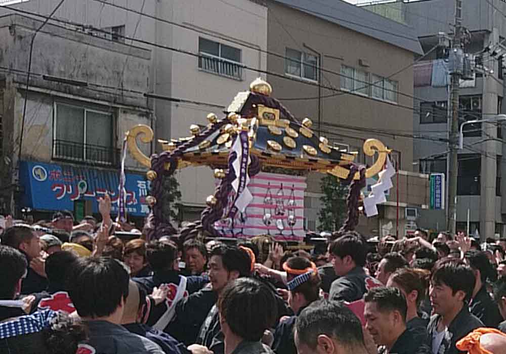 sanjamatsuri_mikoshi