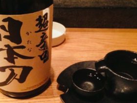 tokyo_ginza_uogyu_katana